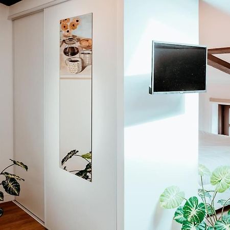 Le Nid Douillet De L'Hypercentre Apartman Toulouse Kültér fotó