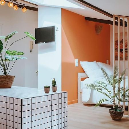 Le Nid Douillet De L'Hypercentre Apartman Toulouse Kültér fotó
