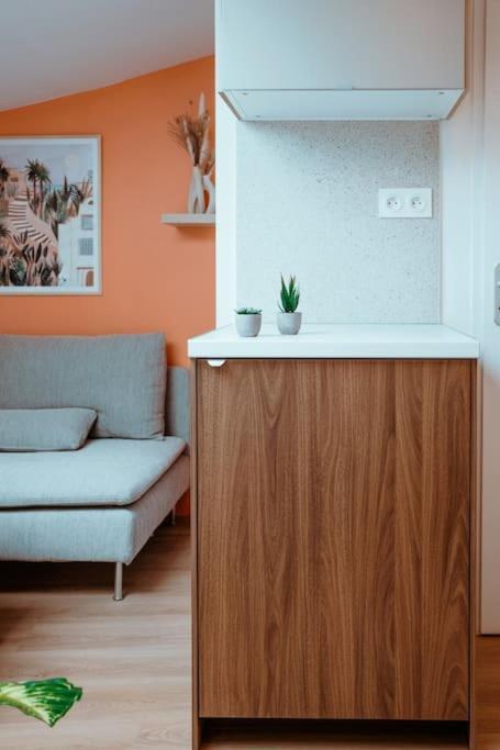 Le Nid Douillet De L'Hypercentre Apartman Toulouse Kültér fotó