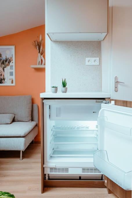 Le Nid Douillet De L'Hypercentre Apartman Toulouse Kültér fotó