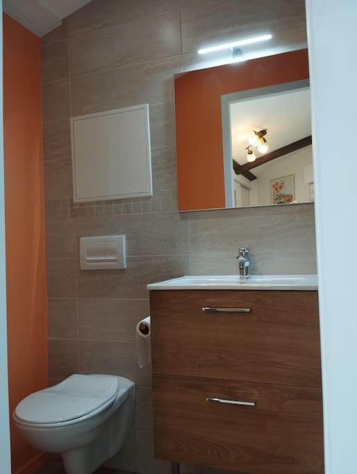 Le Nid Douillet De L'Hypercentre Apartman Toulouse Kültér fotó