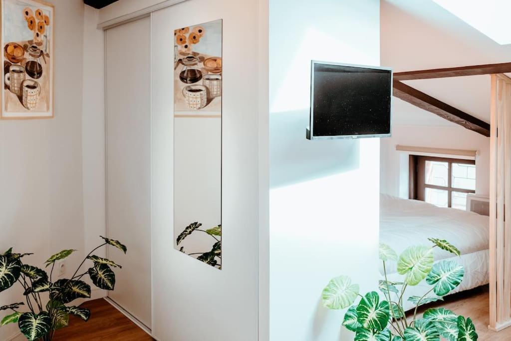 Le Nid Douillet De L'Hypercentre Apartman Toulouse Kültér fotó