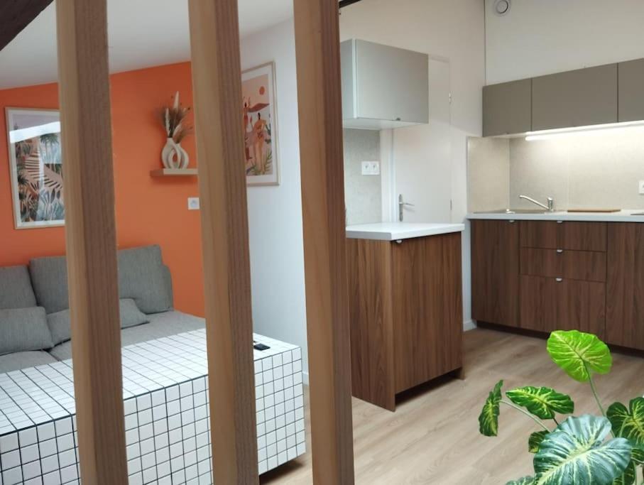 Le Nid Douillet De L'Hypercentre Apartman Toulouse Kültér fotó