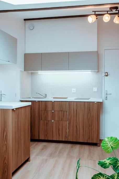 Le Nid Douillet De L'Hypercentre Apartman Toulouse Kültér fotó