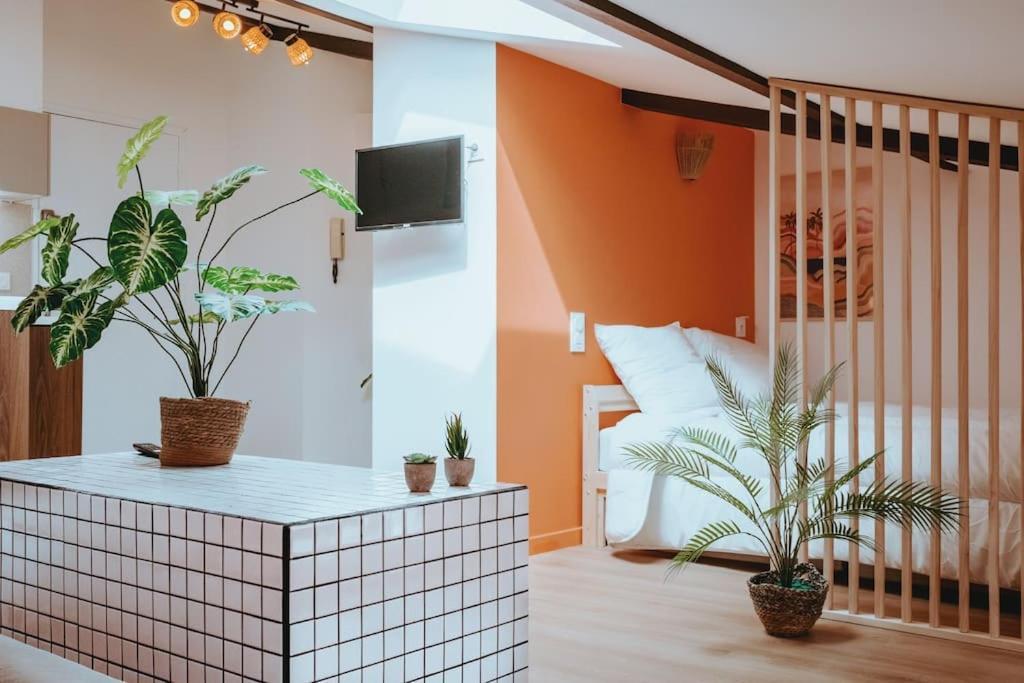 Le Nid Douillet De L'Hypercentre Apartman Toulouse Kültér fotó